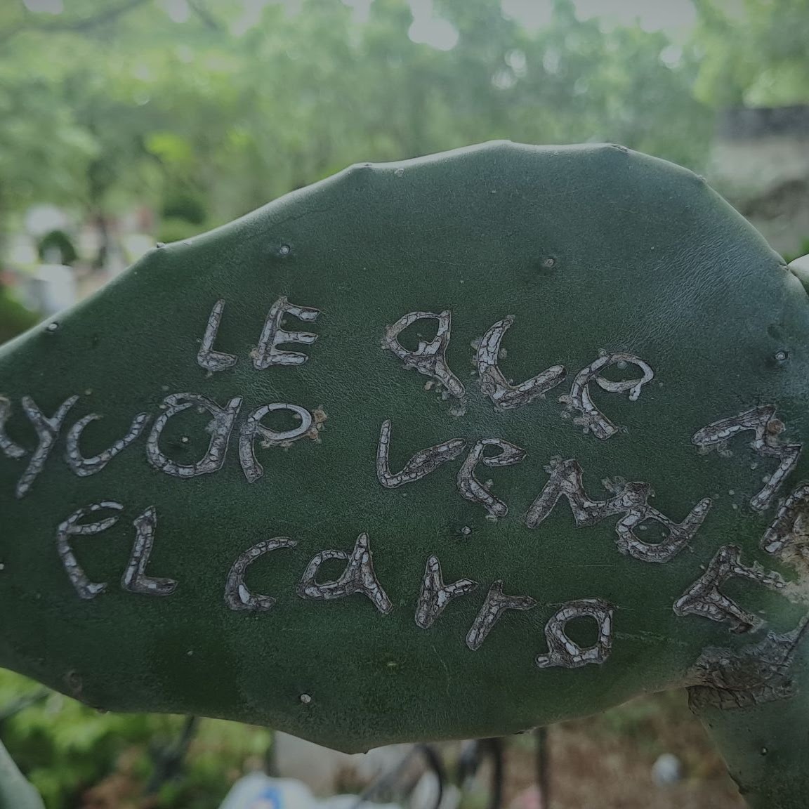 Mensajes y ofrendas