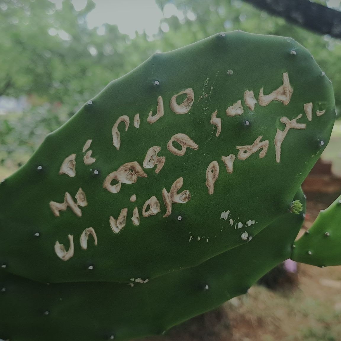 Tumba y ofrendas de Benito