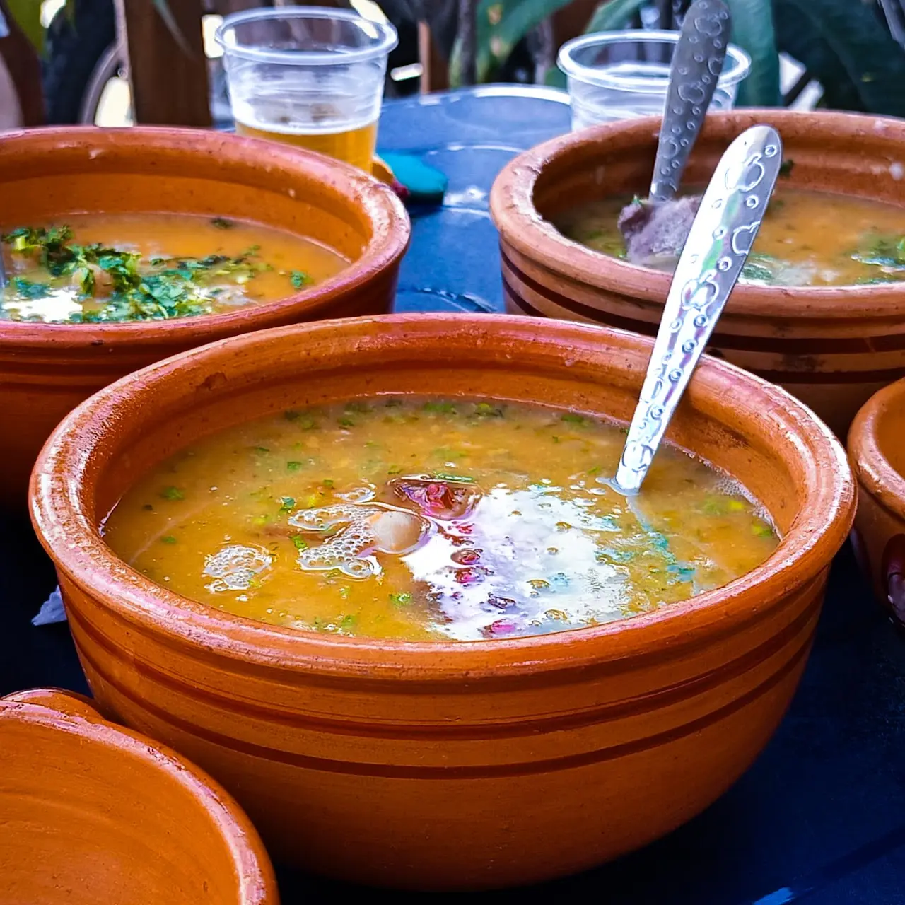 Sopa de mute